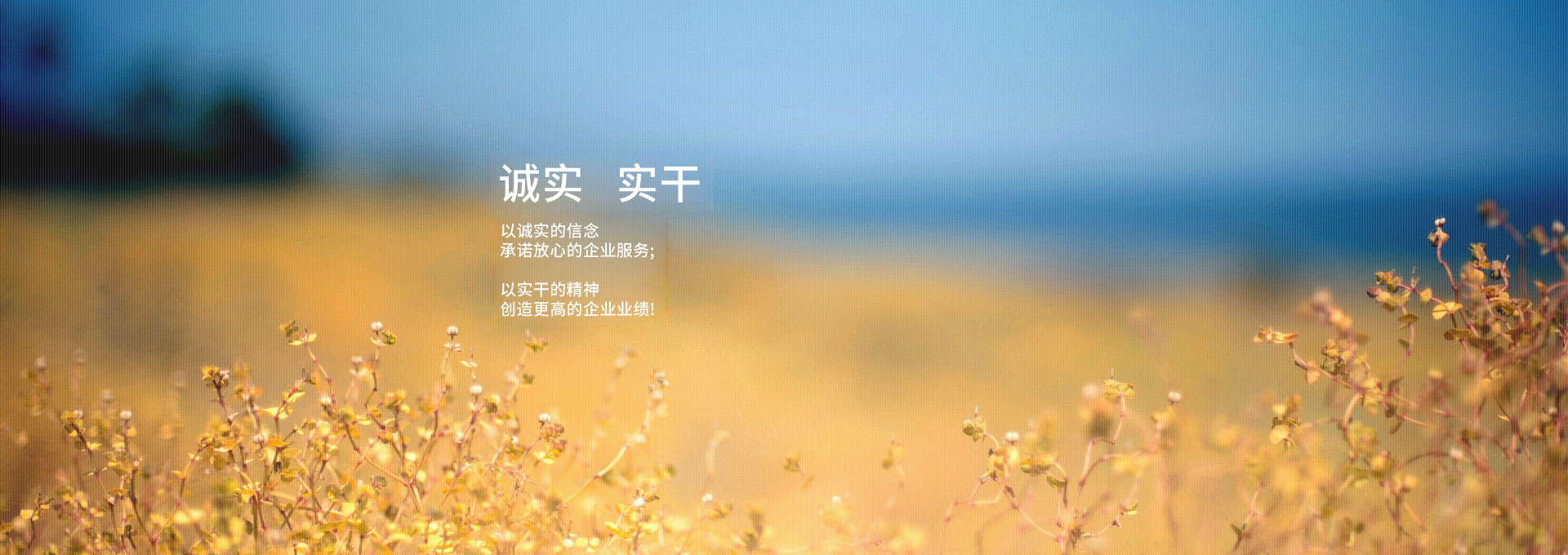 ��-��(sh��)��